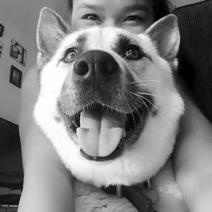 Meet your Posher, Jam